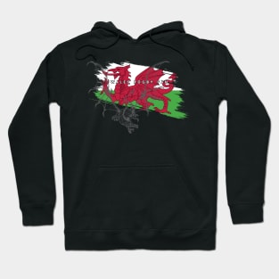 Minimalist Rugby #001 Part 3 - Wales Rugby Fan Hoodie